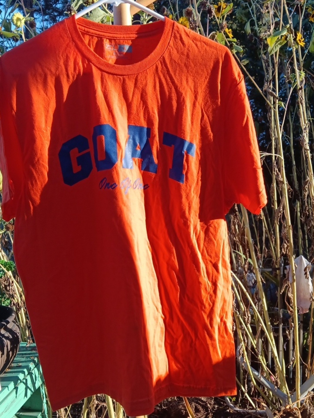 Men's Short-Sleeve Graphic Tee in Orange